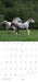 Equus Photographs by Susan Friedman 2024 Wall Calendar    