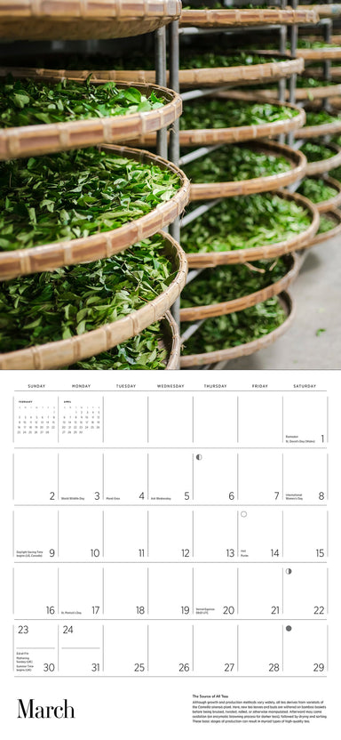 Tea 2025 Wall Calendar    