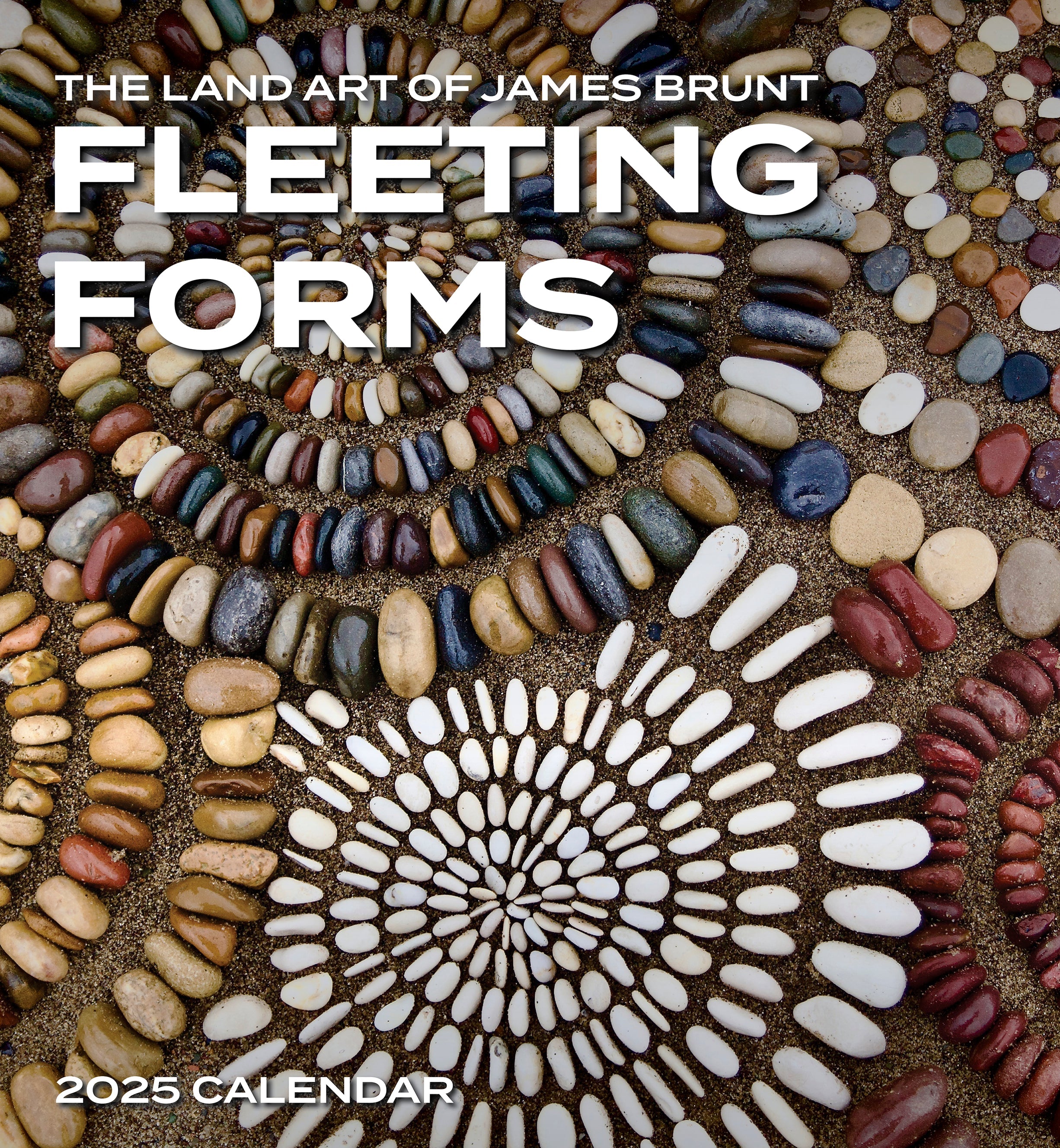 Fleeting Forms - The Art of James Brunt 2025 Wall Calendar    