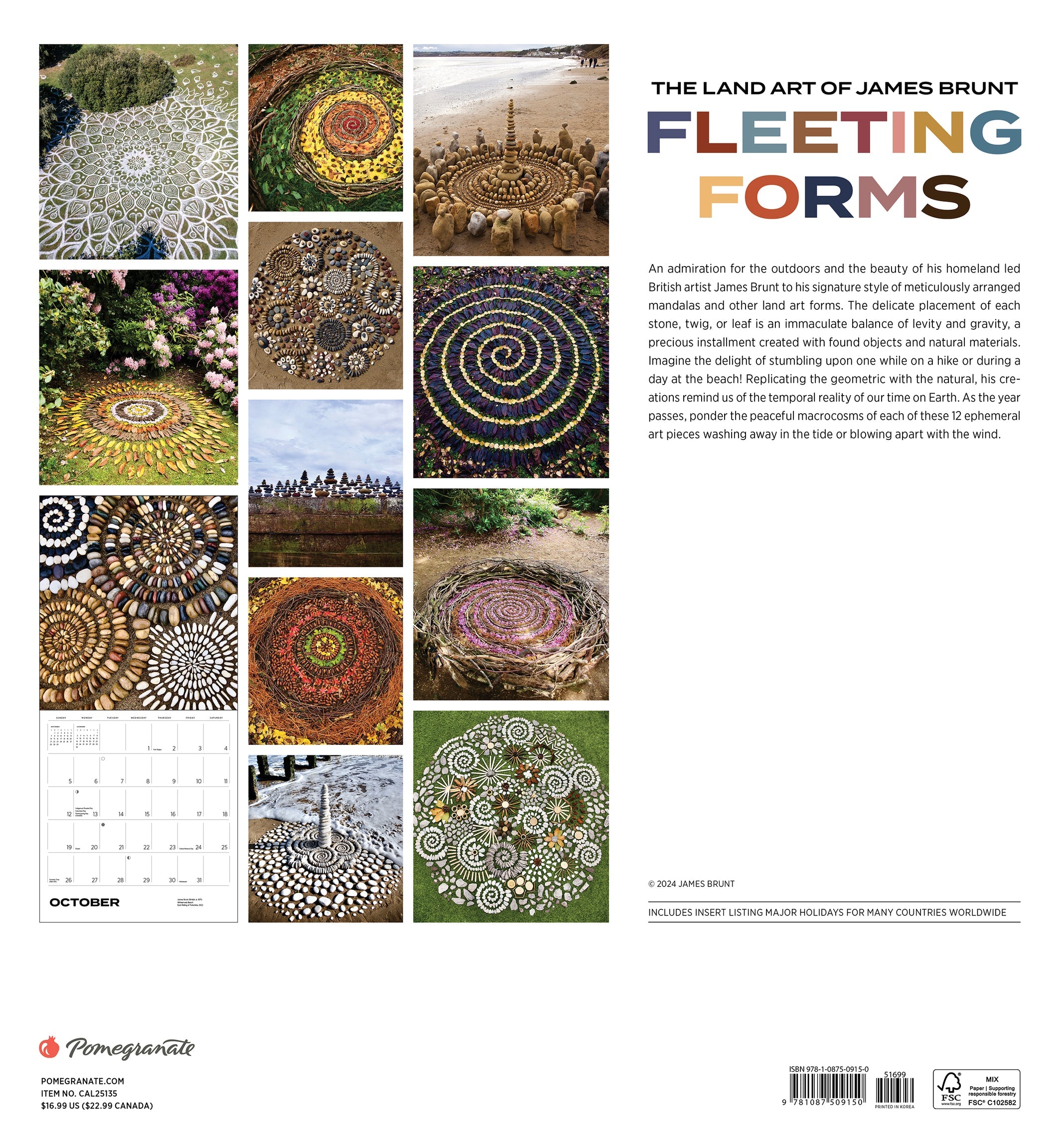 Fleeting Forms - The Art of James Brunt 2025 Wall Calendar    