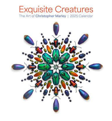 Exquisite Creatures: The Art of Christopher Marley 2025 Wall Calendar    