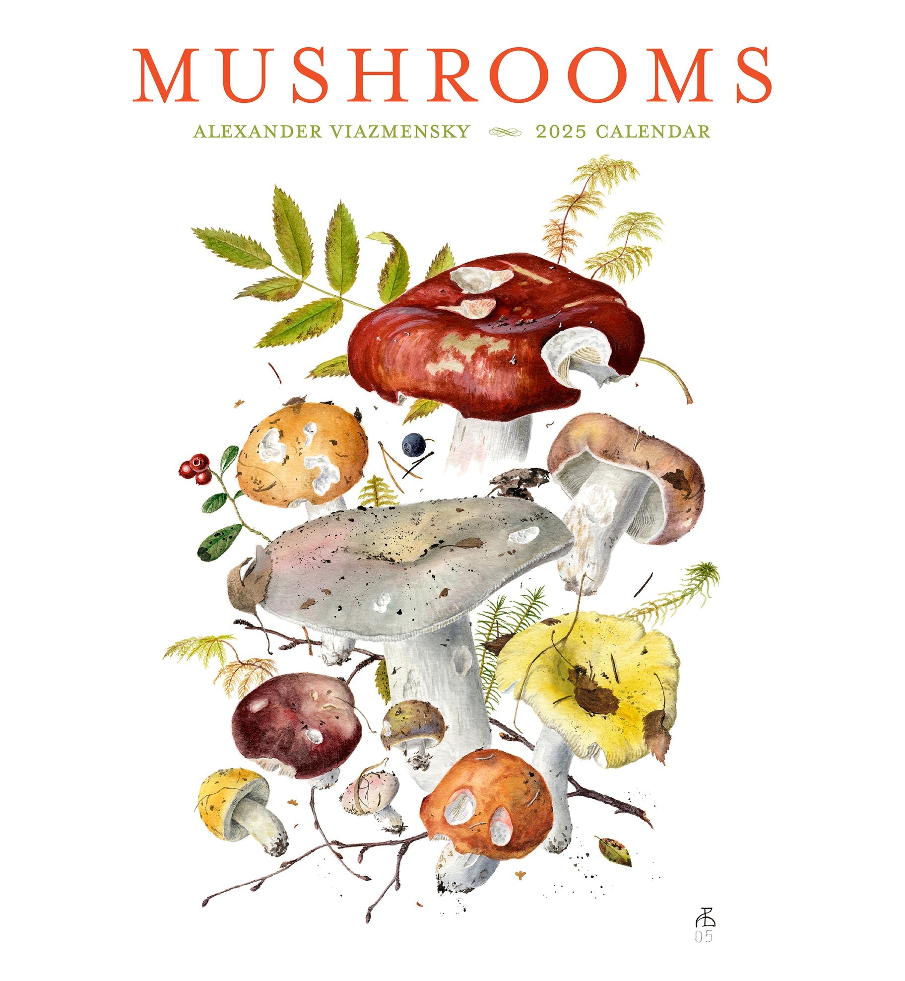 Mushrooms 2025 Wall Calendar    