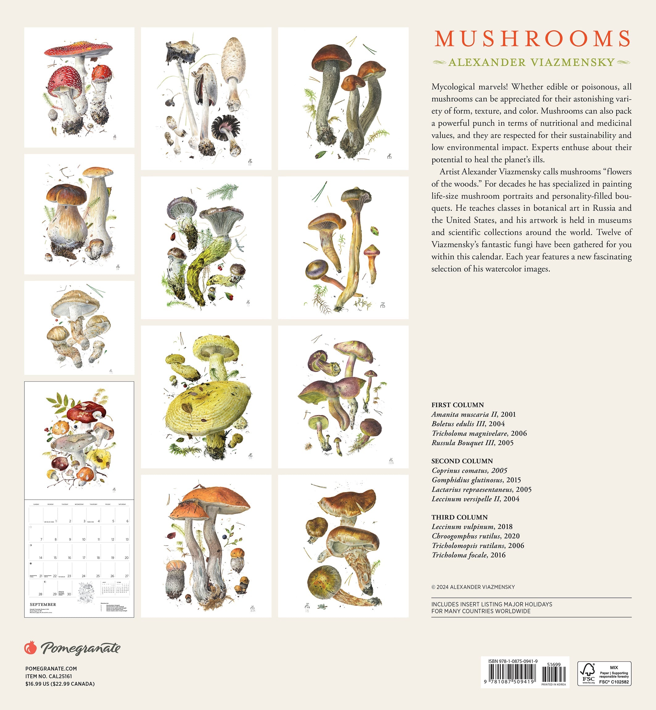 Mushrooms 2025 Wall Calendar    