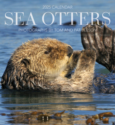 Sea Otters - Photographs by Tom and Pat Neeson 2025 Wall Calendar    