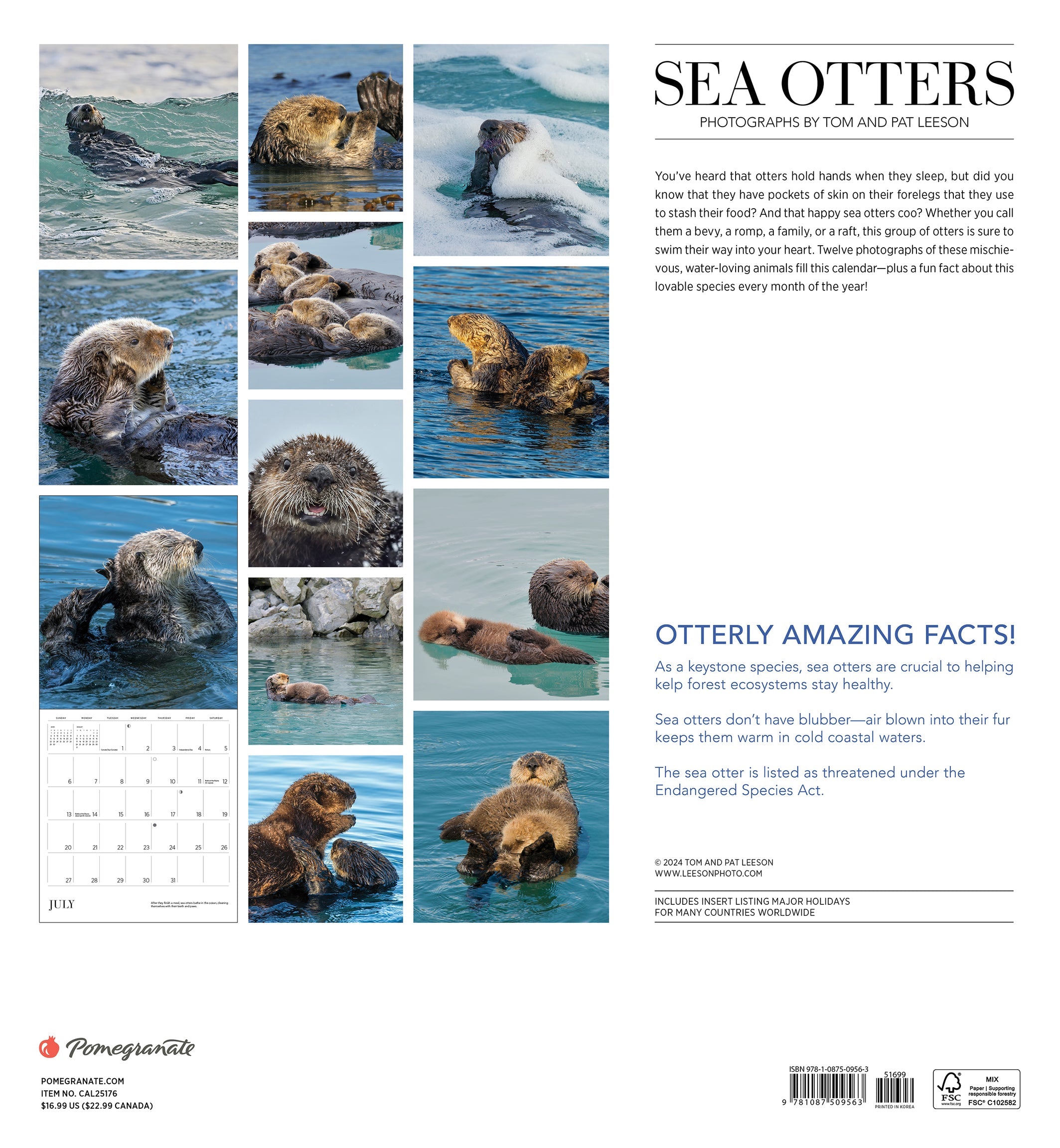 Sea Otters - Photographs by Tom and Pat Neeson 2025 Wall Calendar    