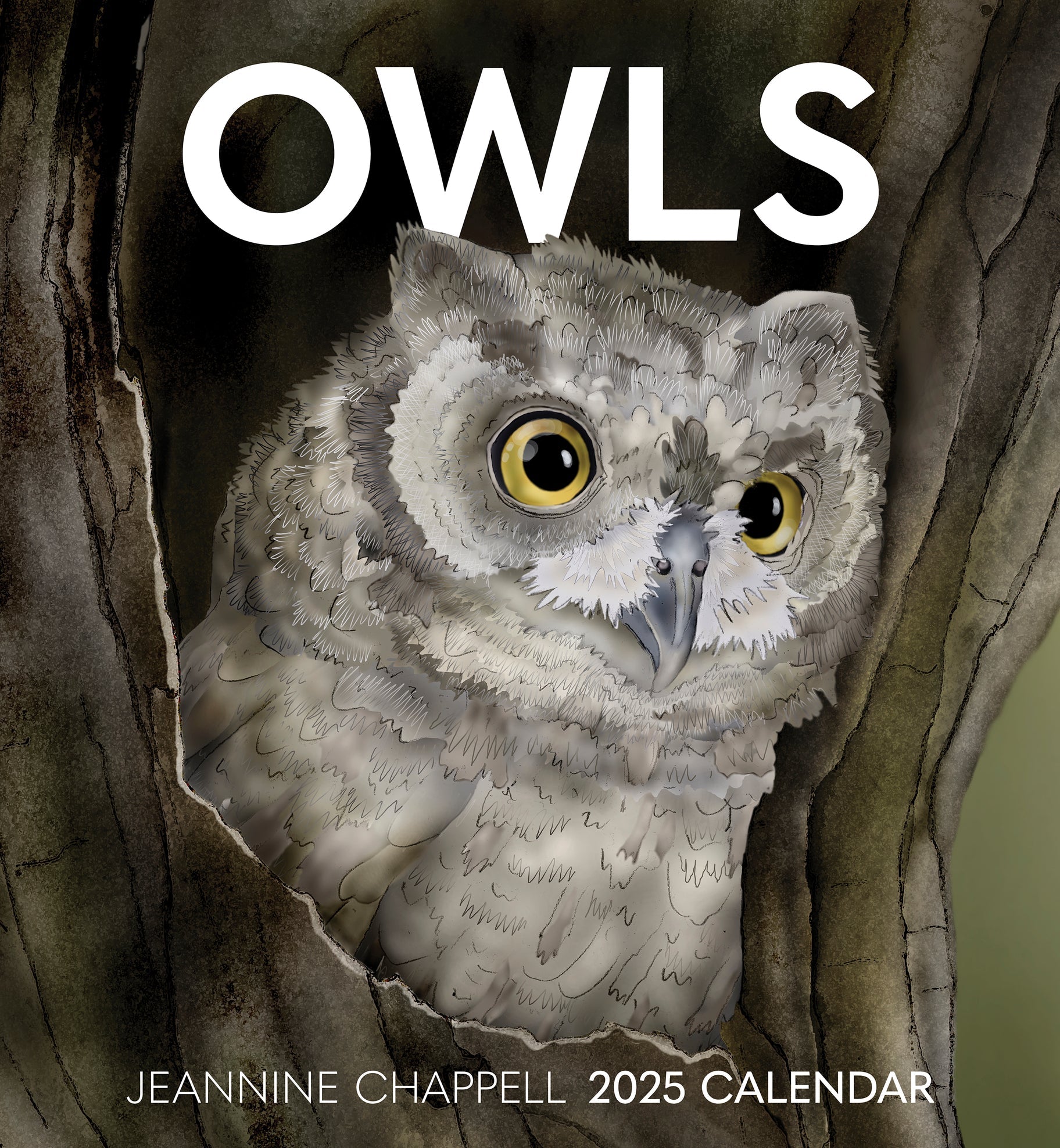 Owls 2025 Jeannine Chappell Wall Calendar    