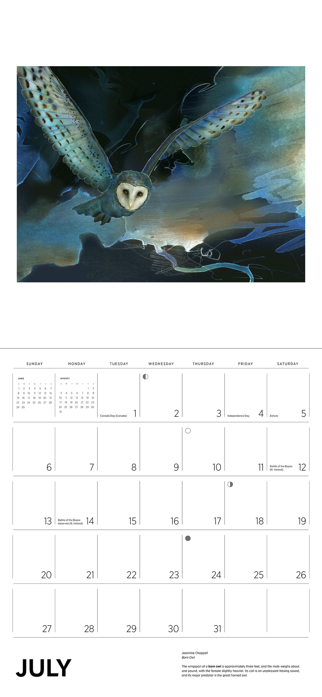 Owls 2025 Jeannine Chappell Wall Calendar    