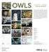 Owls 2025 Jeannine Chappell Wall Calendar    