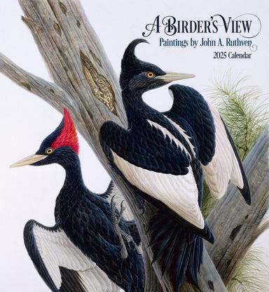 A Birder's View - Paintings by John Ruthann 2025 Wall Calendar    