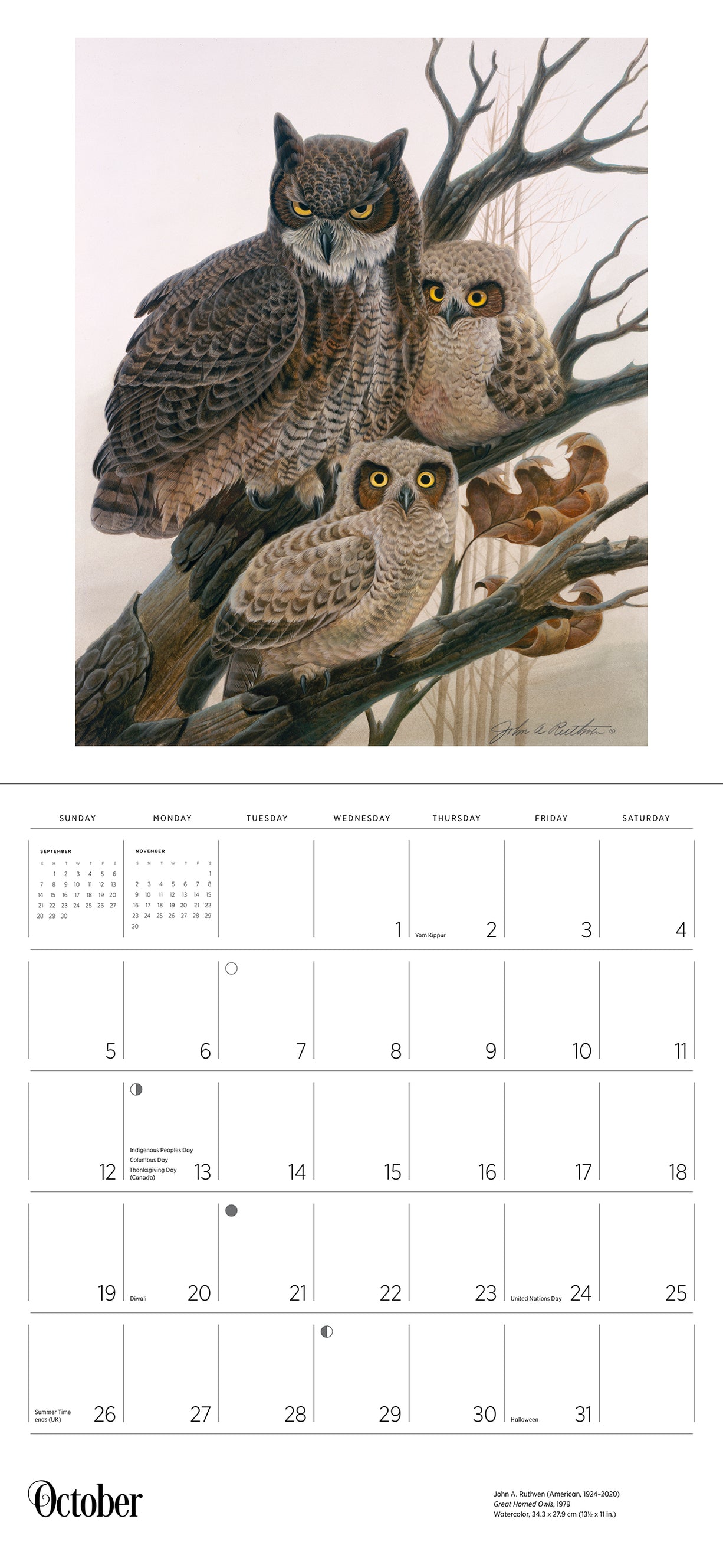 A Birder's View - Paintings by John Ruthann 2025 Wall Calendar    