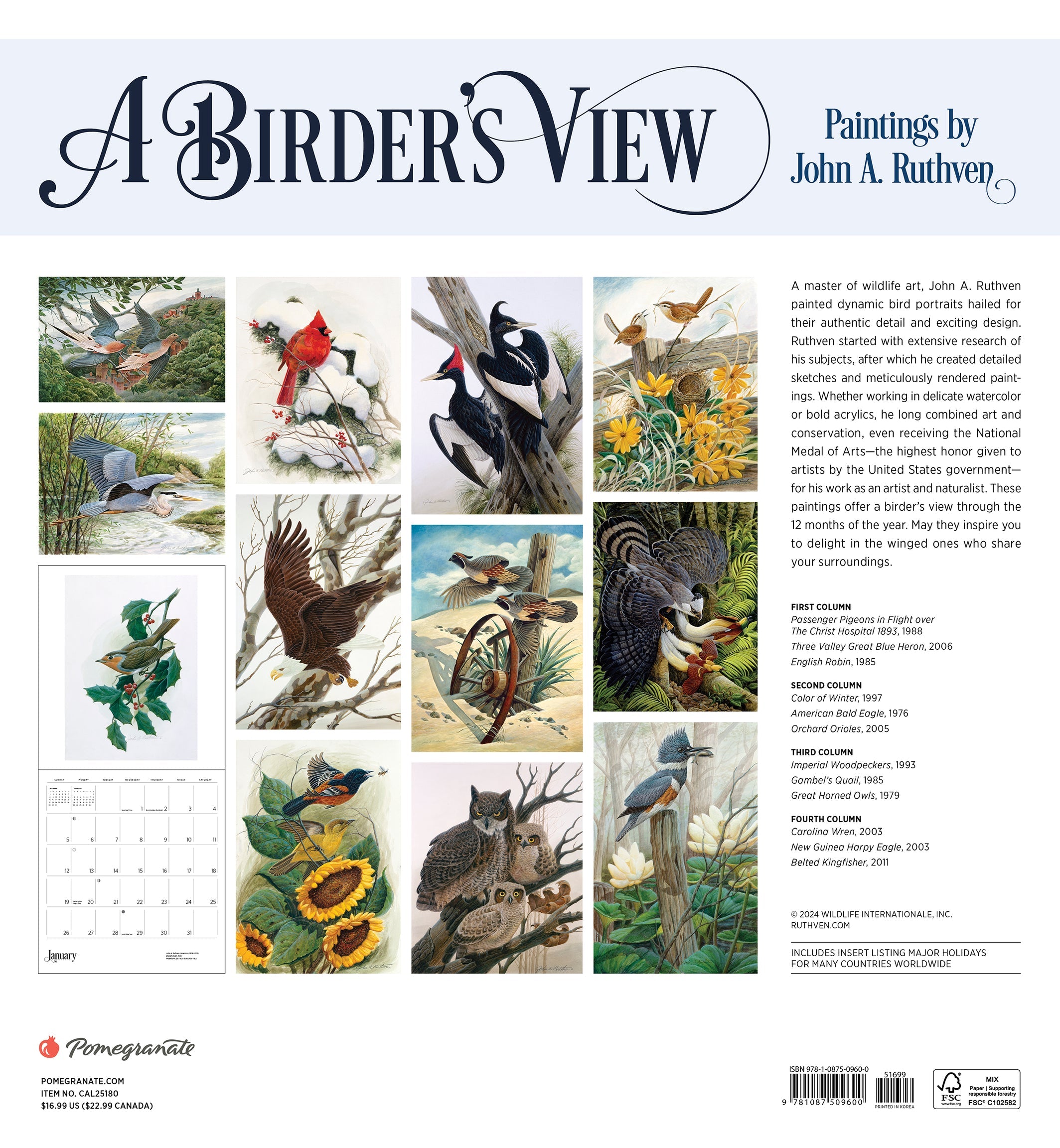 A Birder's View - Paintings by John Ruthann 2025 Wall Calendar    