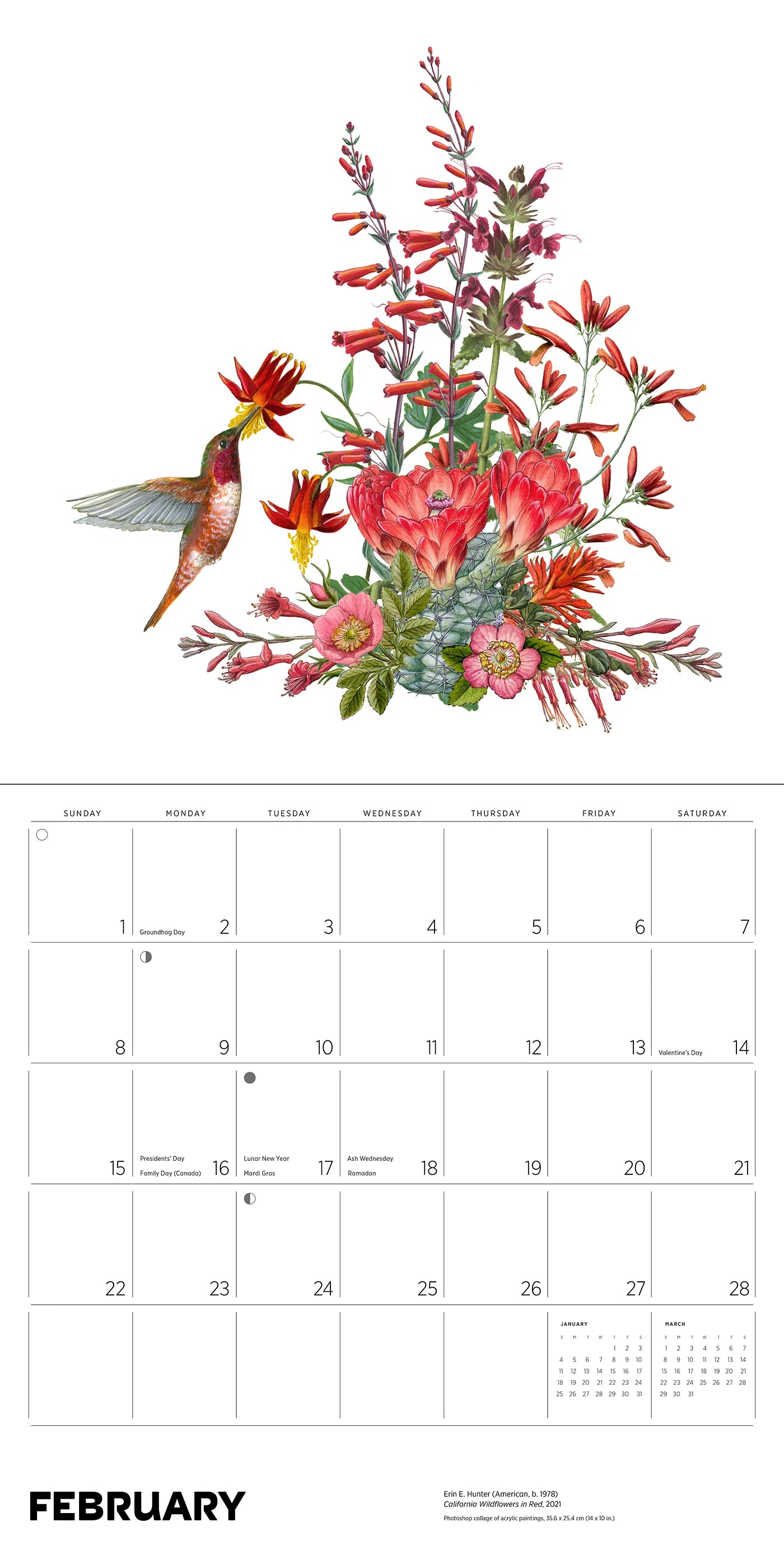 Pollinators 2026 Wall Calendar