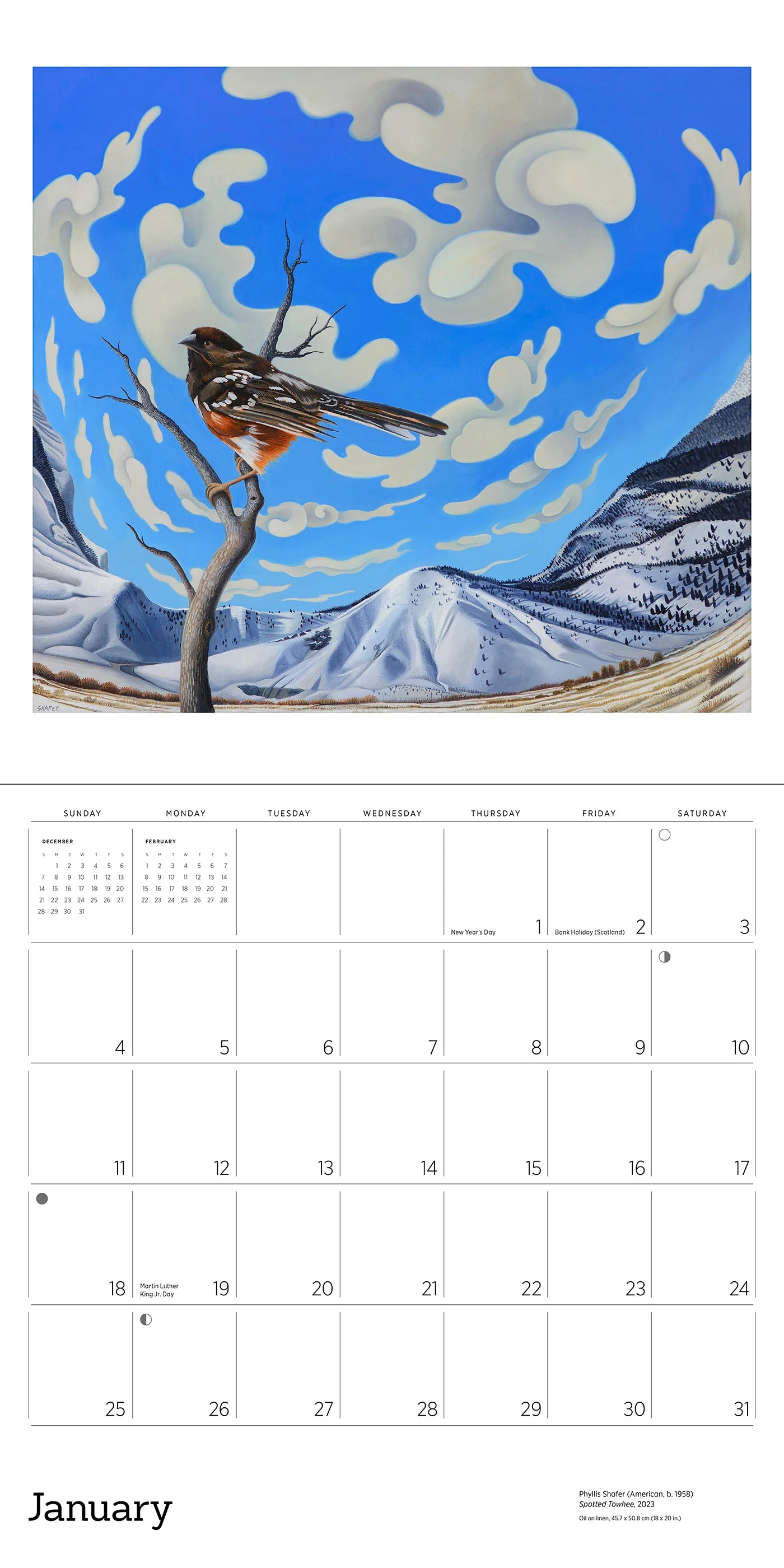 Phyllis Shafer: Nature Divine 2026 Wall Calendar