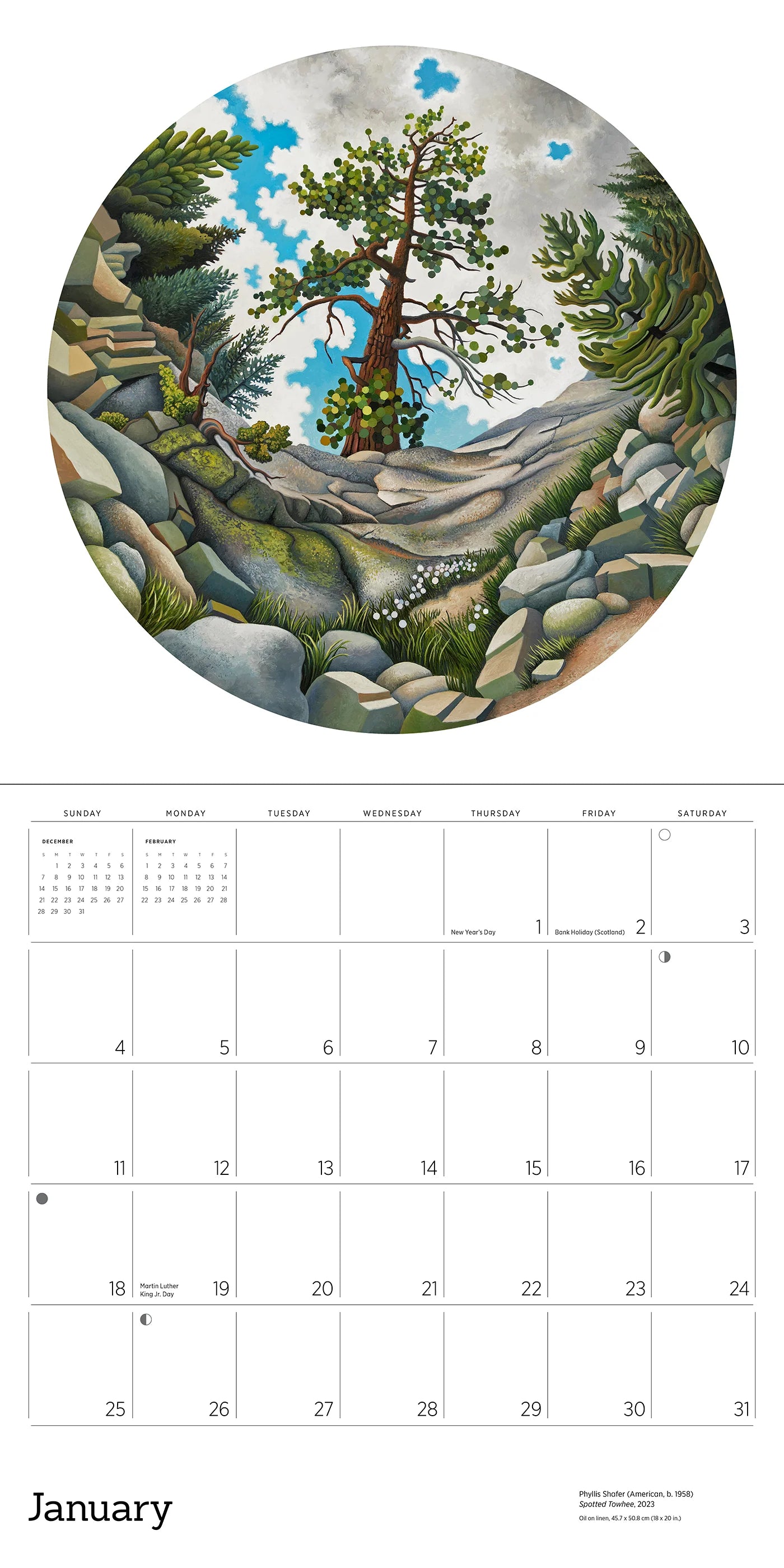 Phyllis Shafer: Nature Divine 2026 Wall Calendar