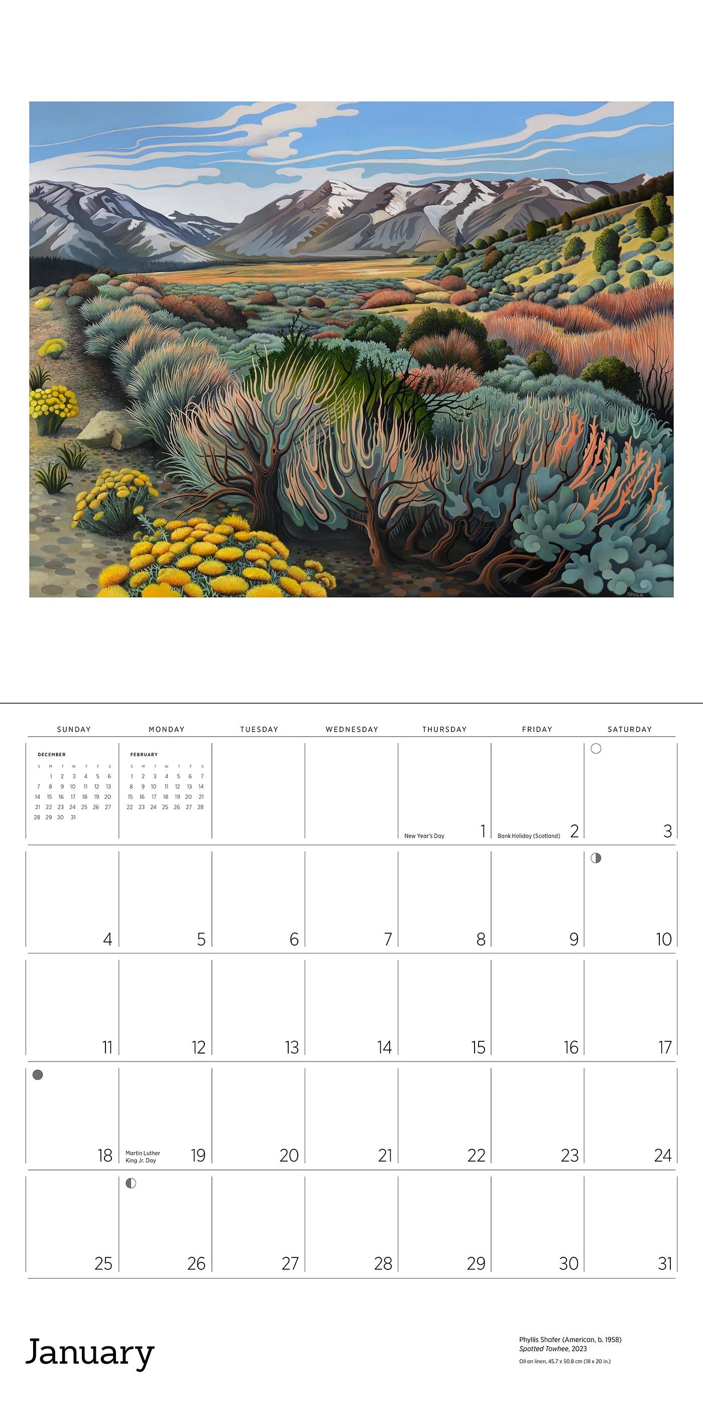 Phyllis Shafer: Nature Divine 2026 Wall Calendar
