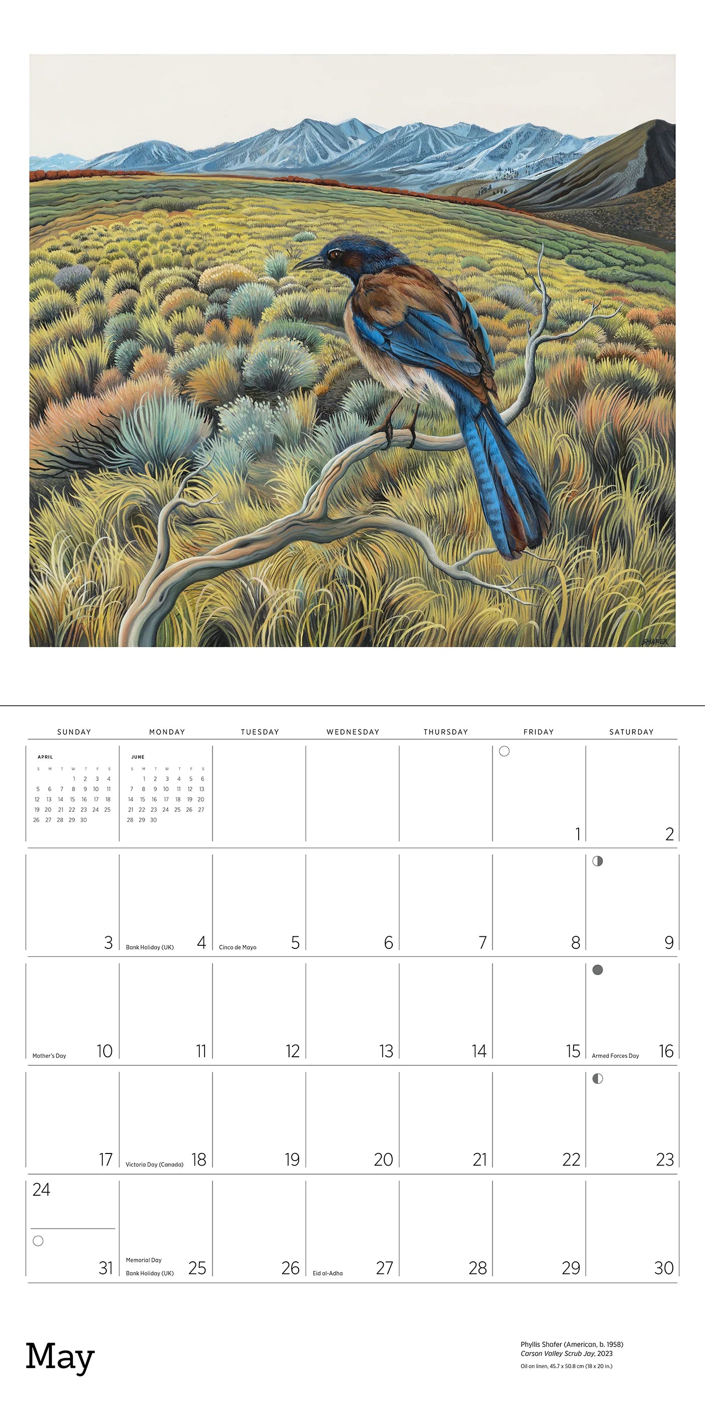 Phyllis Shafer: Nature Divine 2026 Wall Calendar