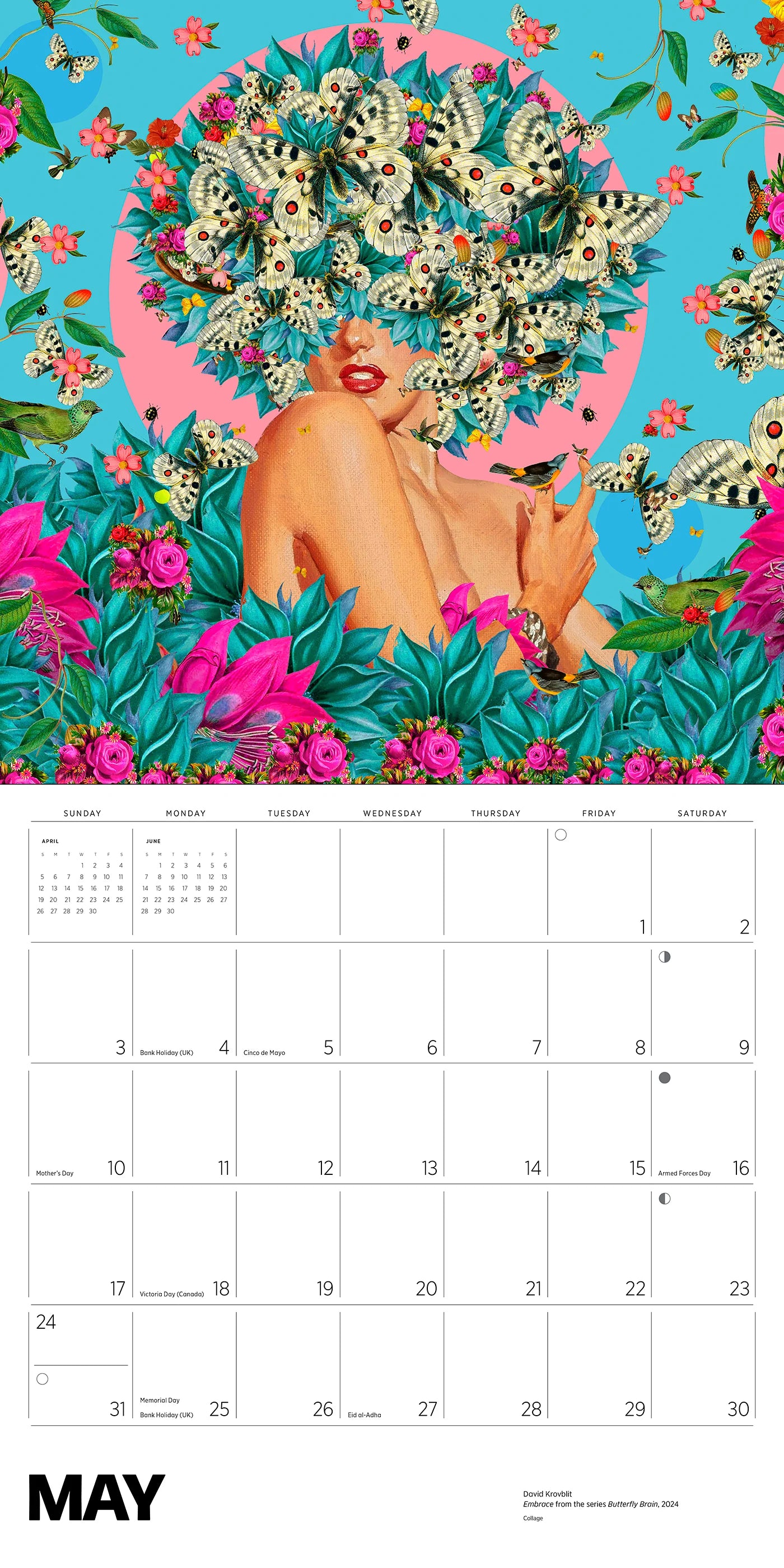 David Krovblit 2026 Wall Calendar