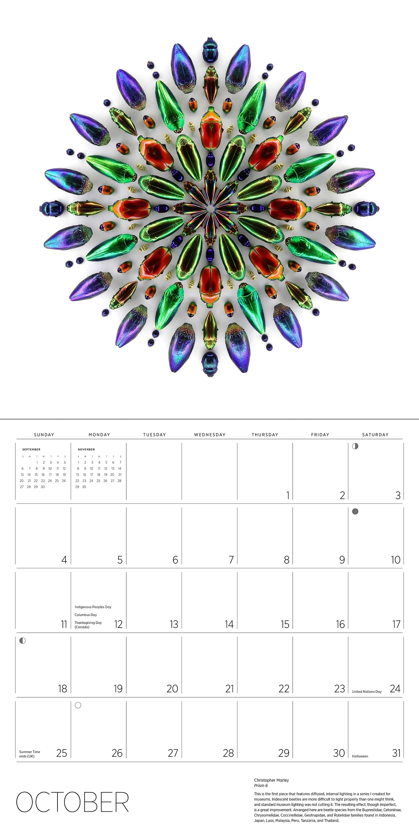 Exquisite Creatures: The Art of Christopher Marley