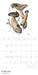 Mushrooms: Alexander Viazmensky 2026 Wall Calendar