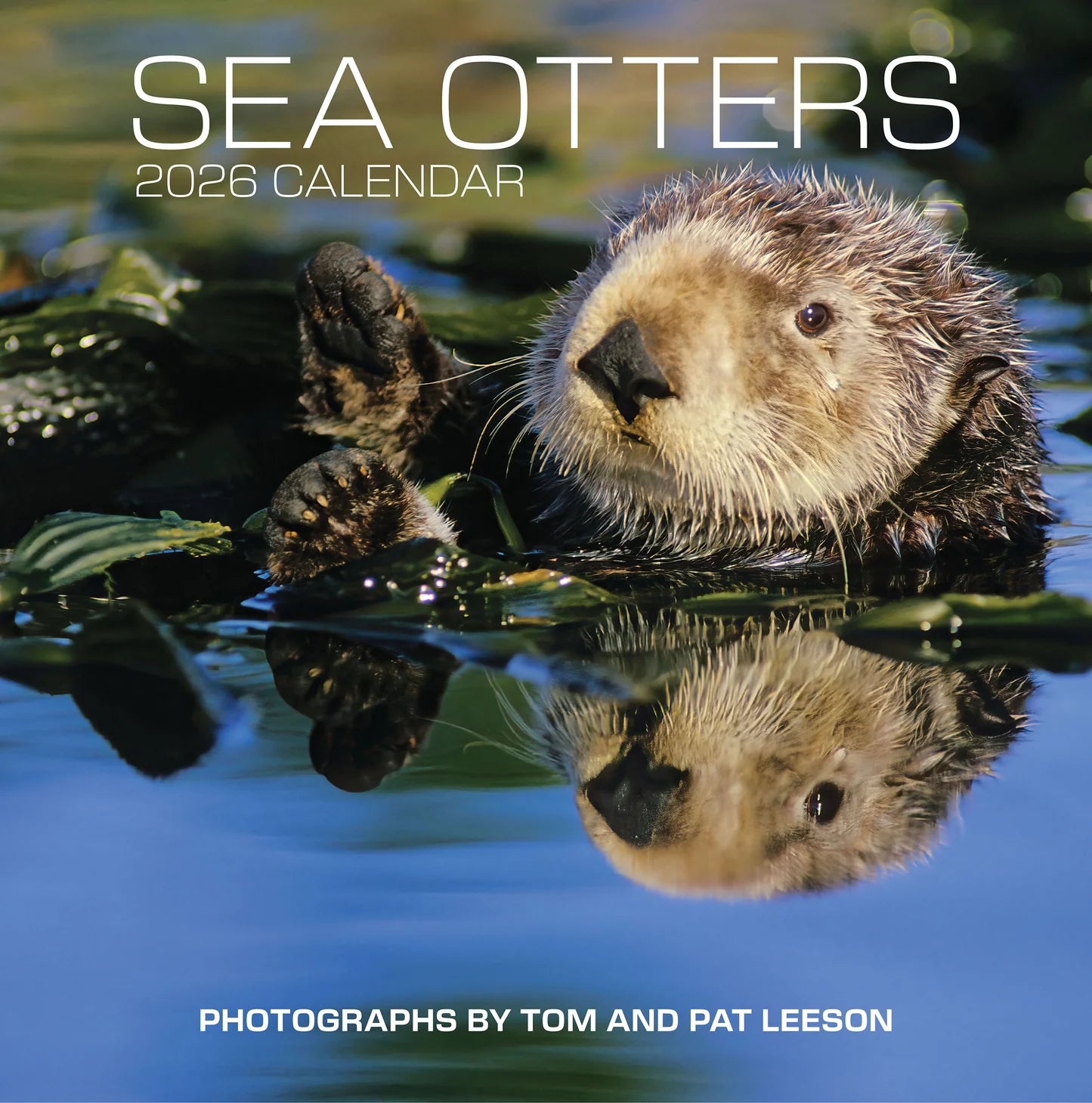 Sea Otters: Photographs by Tom and Pat Leeson