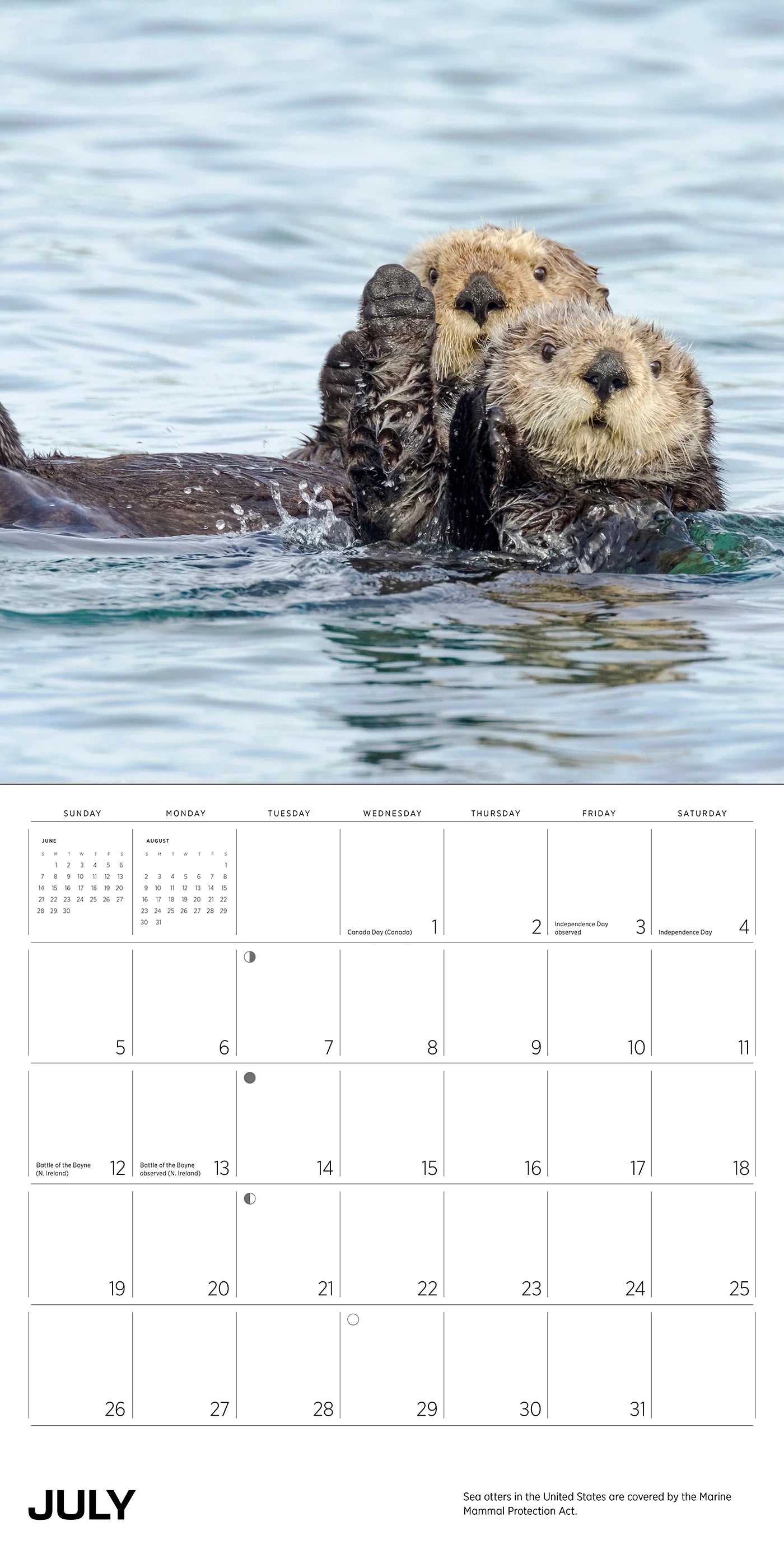 Sea Otters: Photographs by Tom and Pat Leeson