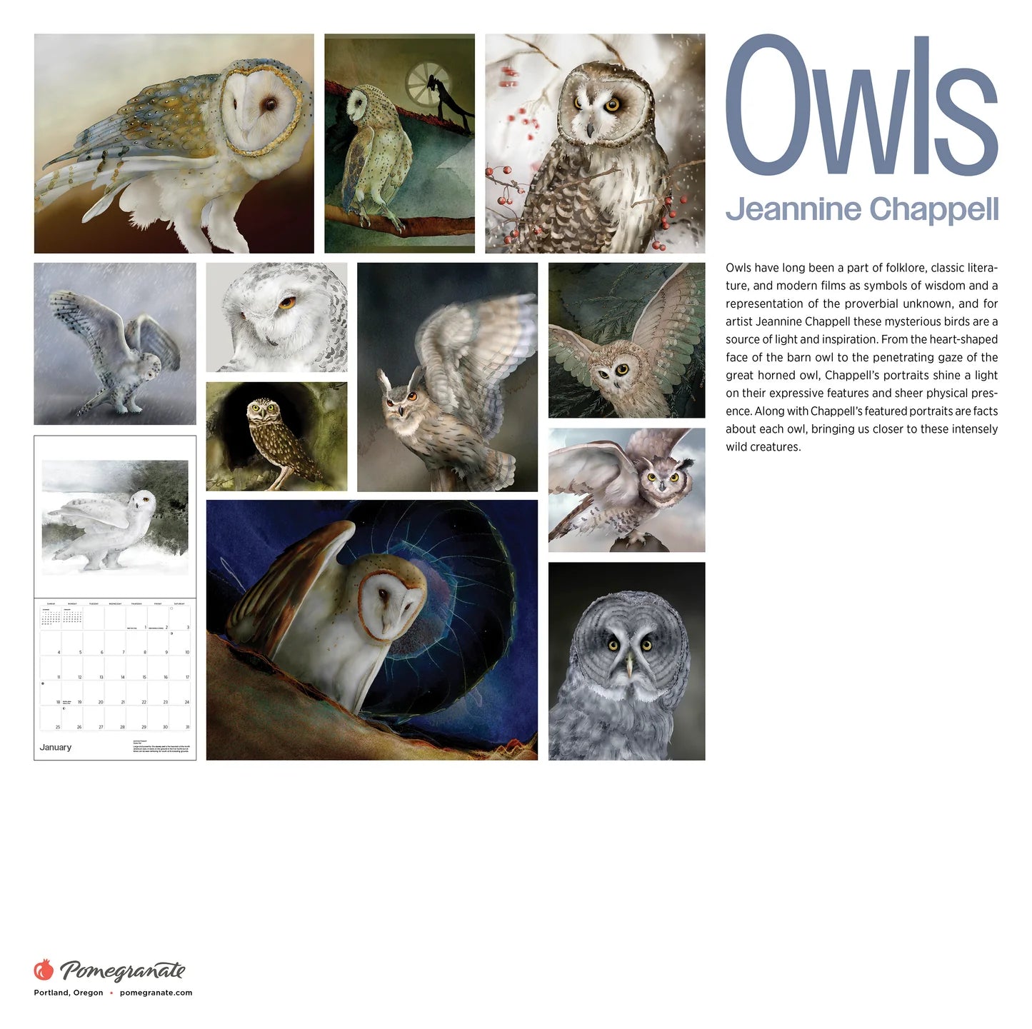 Owls: Jeannine Chappell 2026 Wall Calendar
