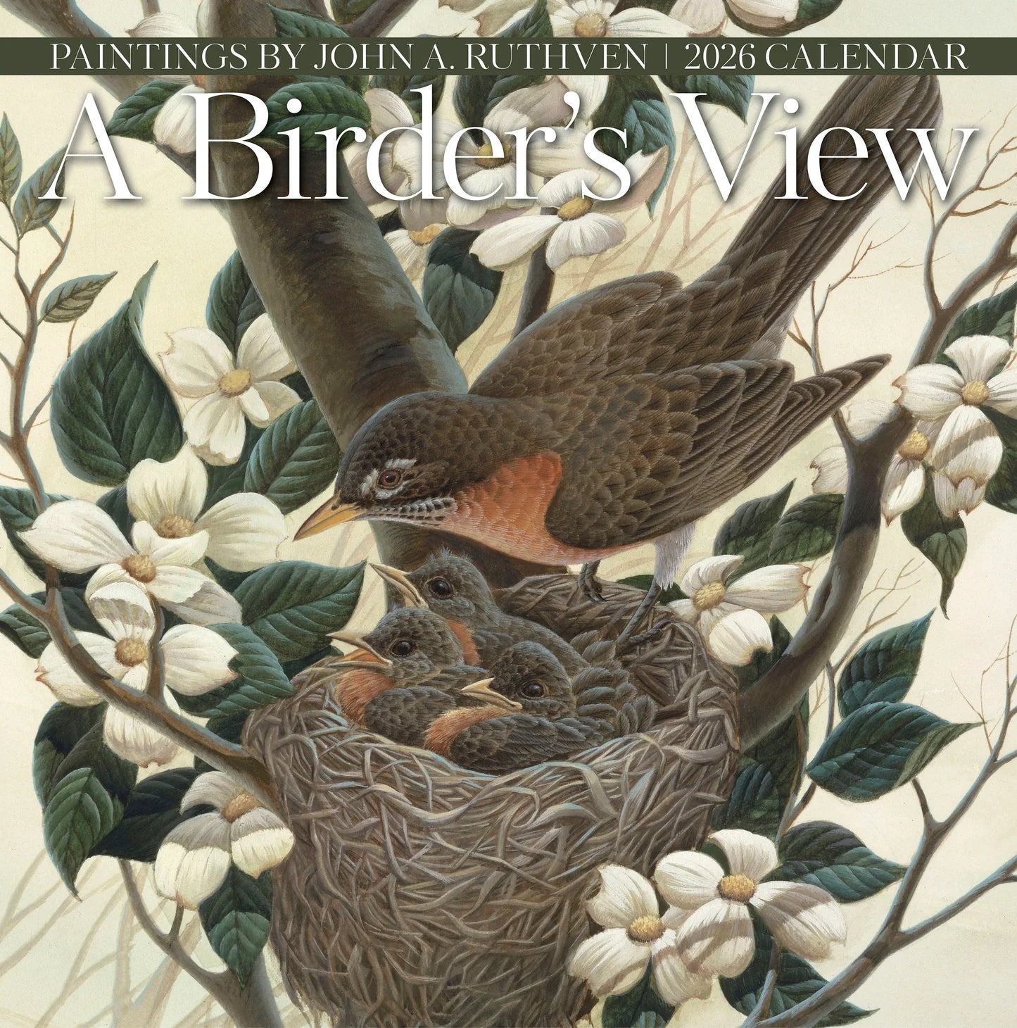 A Birder's View: Paintings by John A. Ruthven 2026 Wall Calendar