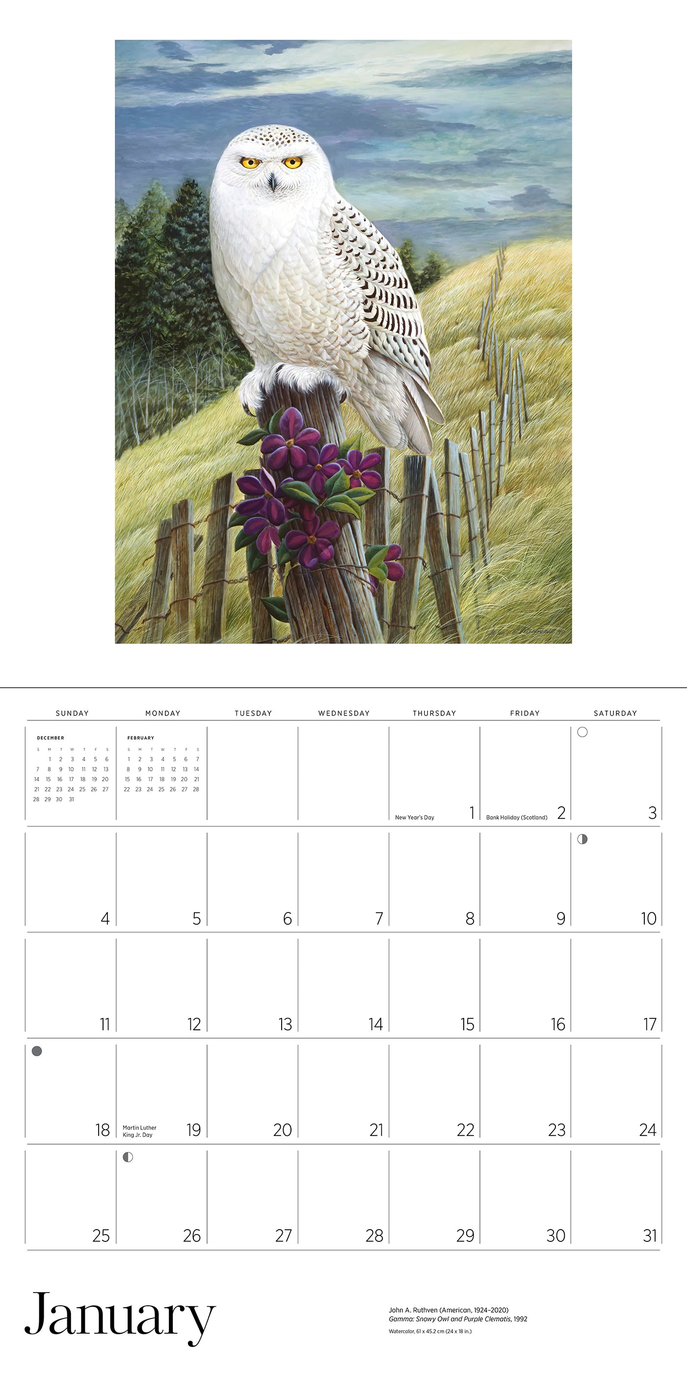 A Birder's View: Paintings by John A. Ruthven 2026 Wall Calendar