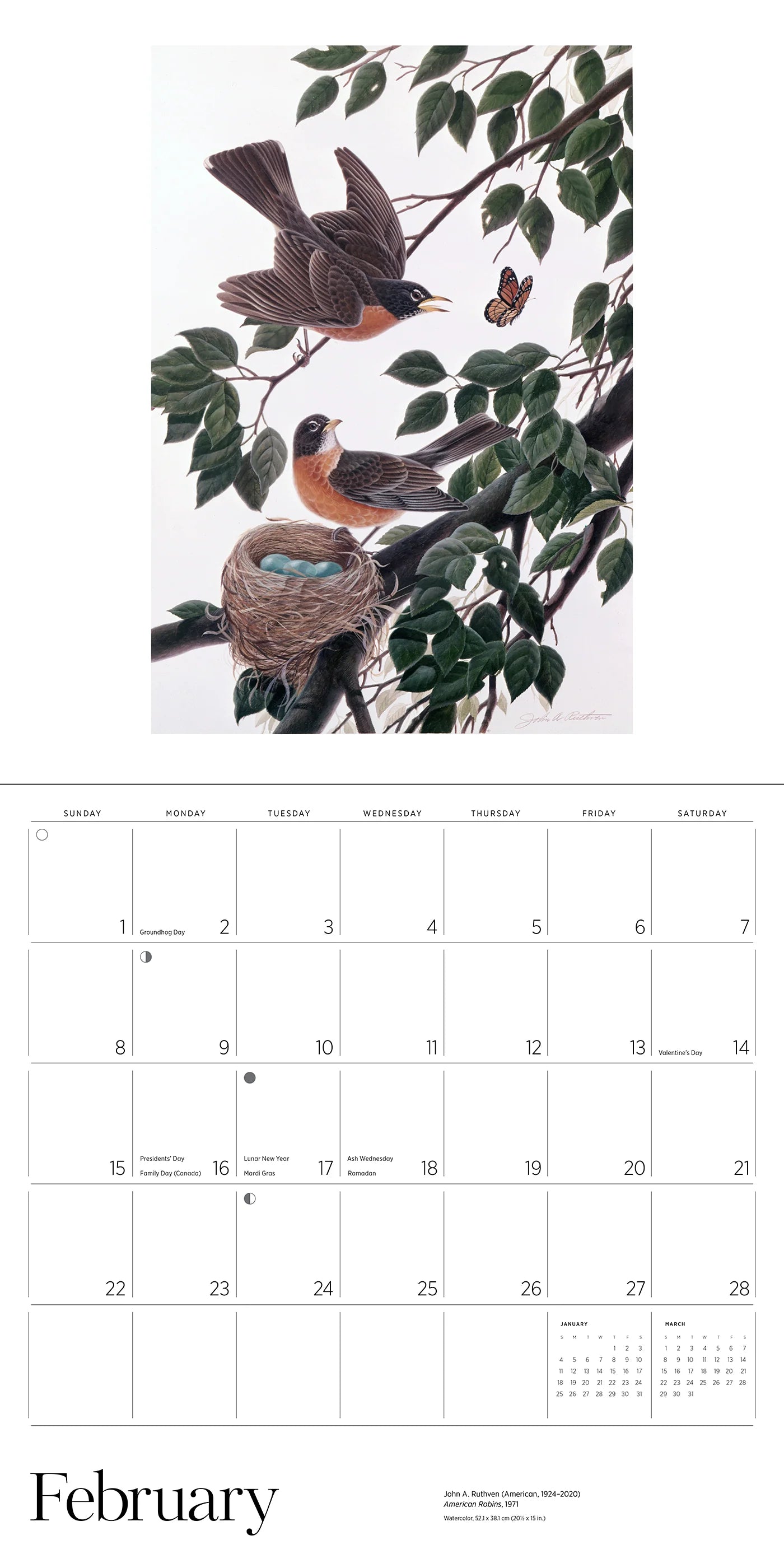 A Birder's View: Paintings by John A. Ruthven 2026 Wall Calendar