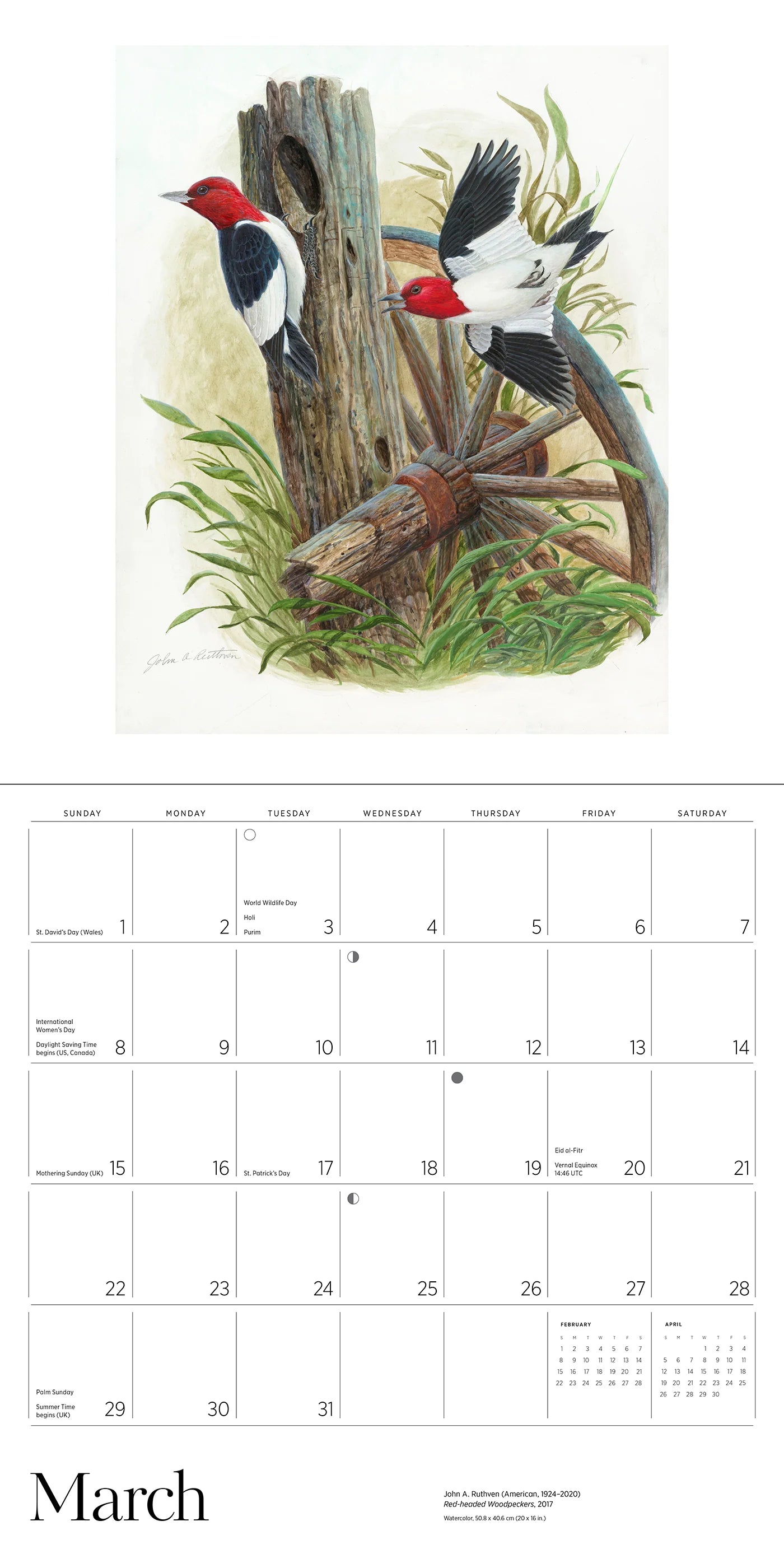 A Birder's View: Paintings by John A. Ruthven 2026 Wall Calendar