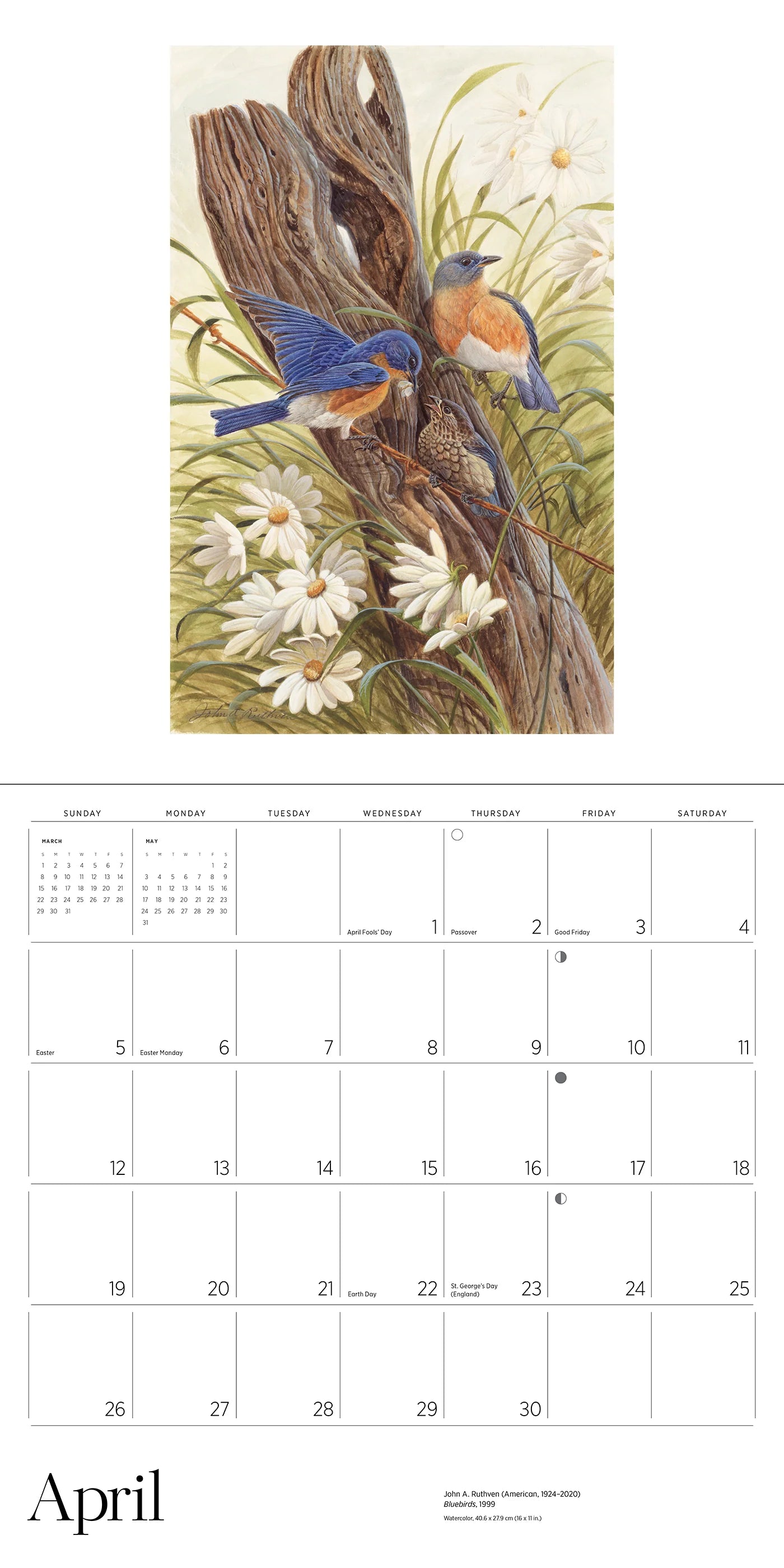 A Birder's View: Paintings by John A. Ruthven 2026 Wall Calendar