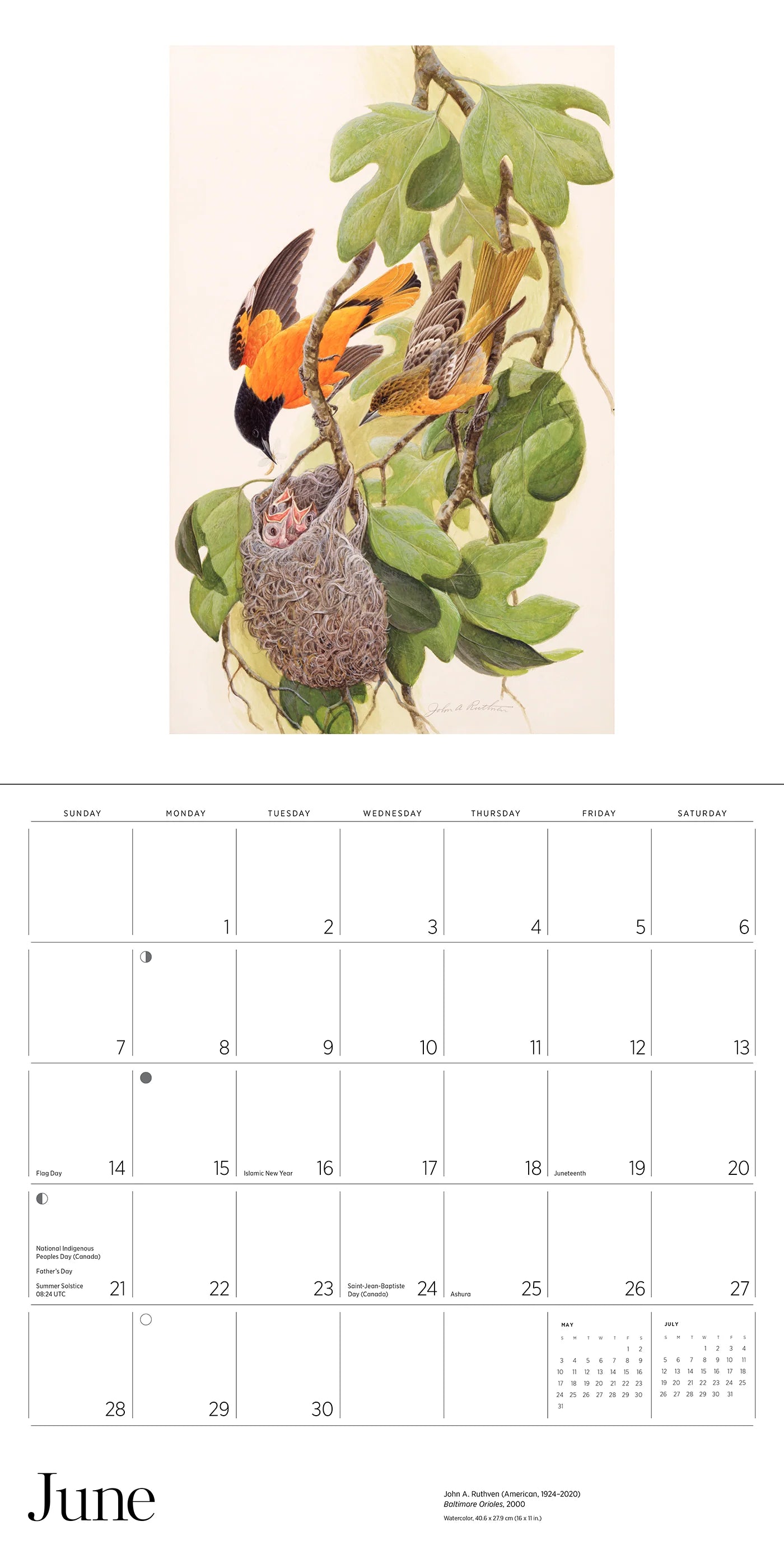 A Birder's View: Paintings by John A. Ruthven 2026 Wall Calendar