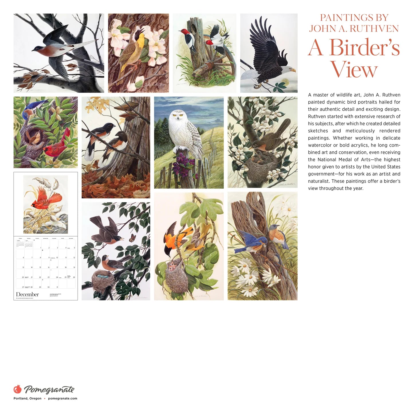 A Birder's View: Paintings by John A. Ruthven 2026 Wall Calendar