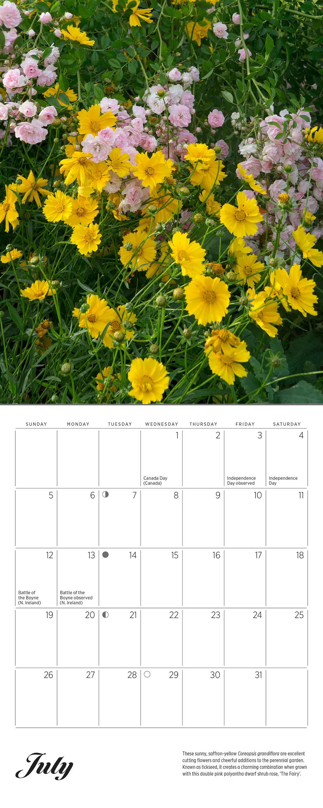 Monet's Passion: The Gardens at Giverny 2026 Mini Wall Calendar