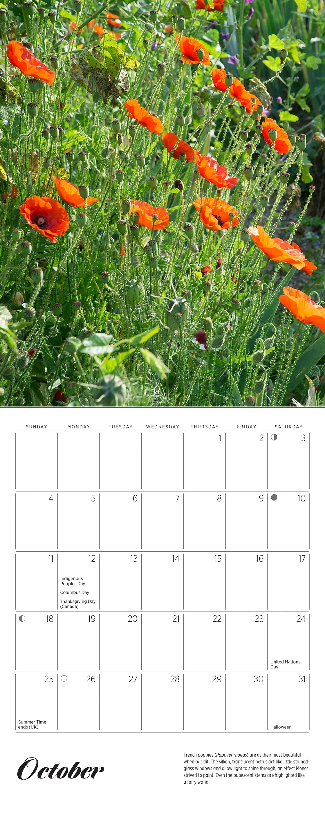 Monet's Passion: The Gardens at Giverny 2026 Mini Wall Calendar