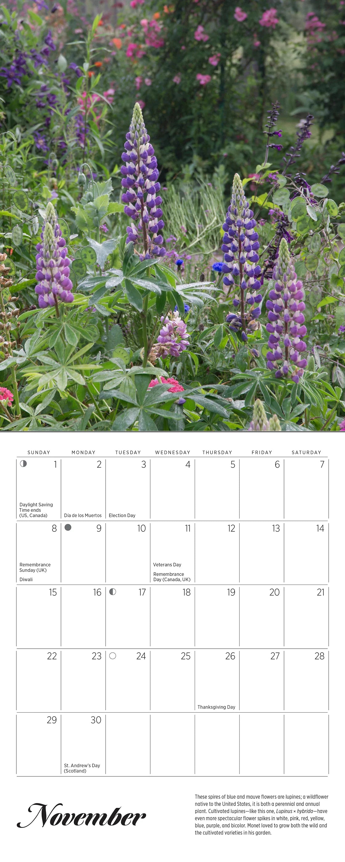 Monet's Passion: The Gardens at Giverny 2026 Mini Wall Calendar