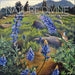 POM Phyllis Shafer: Nature Divine 2027 Wall Calendar