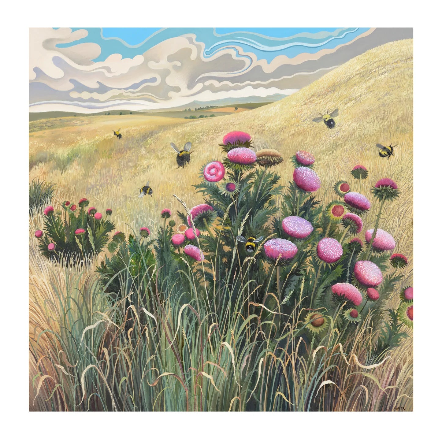 POM Phyllis Shafer: Nature Divine 2027 Wall Calendar