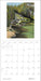 POM Phyllis Shafer: Nature Divine 2027 Wall Calendar