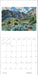 POM Phyllis Shafer: Nature Divine 2027 Wall Calendar