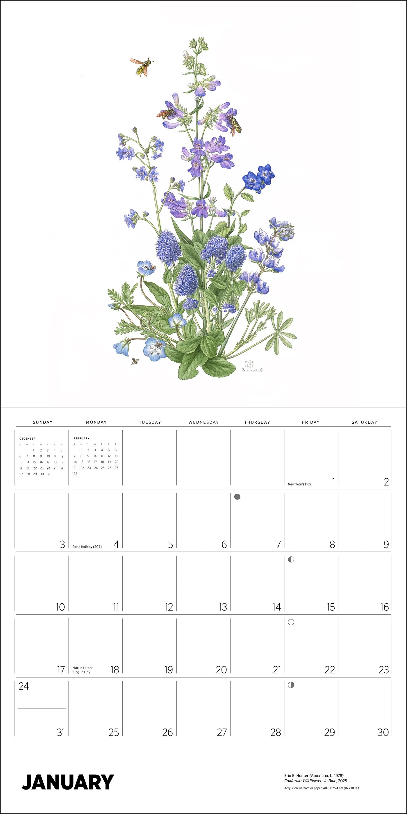 POM Erin E. Hunter: Pollinators 2027 Wall Calendar
