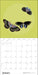 POM Butterflies 2027 Wall Calendar