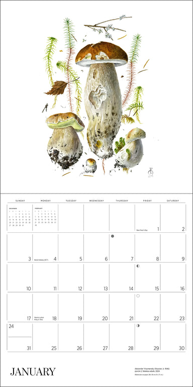 POM Mushrooms: Alexander Viazmensky 2027 Wall Calendar