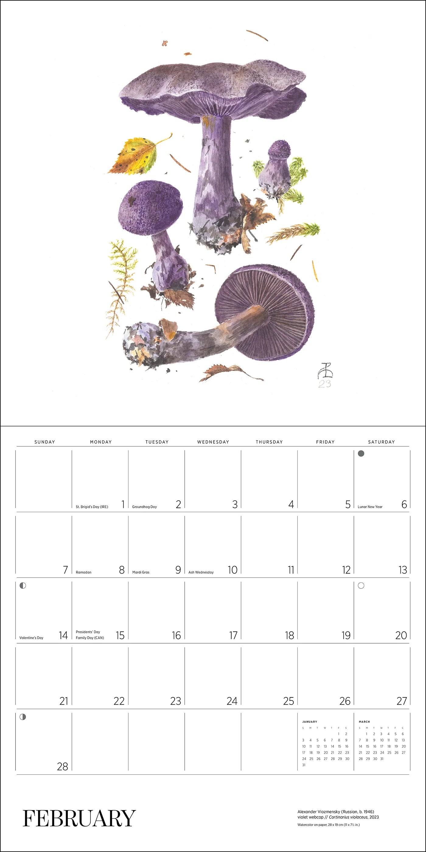POM Mushrooms: Alexander Viazmensky 2027 Wall Calendar