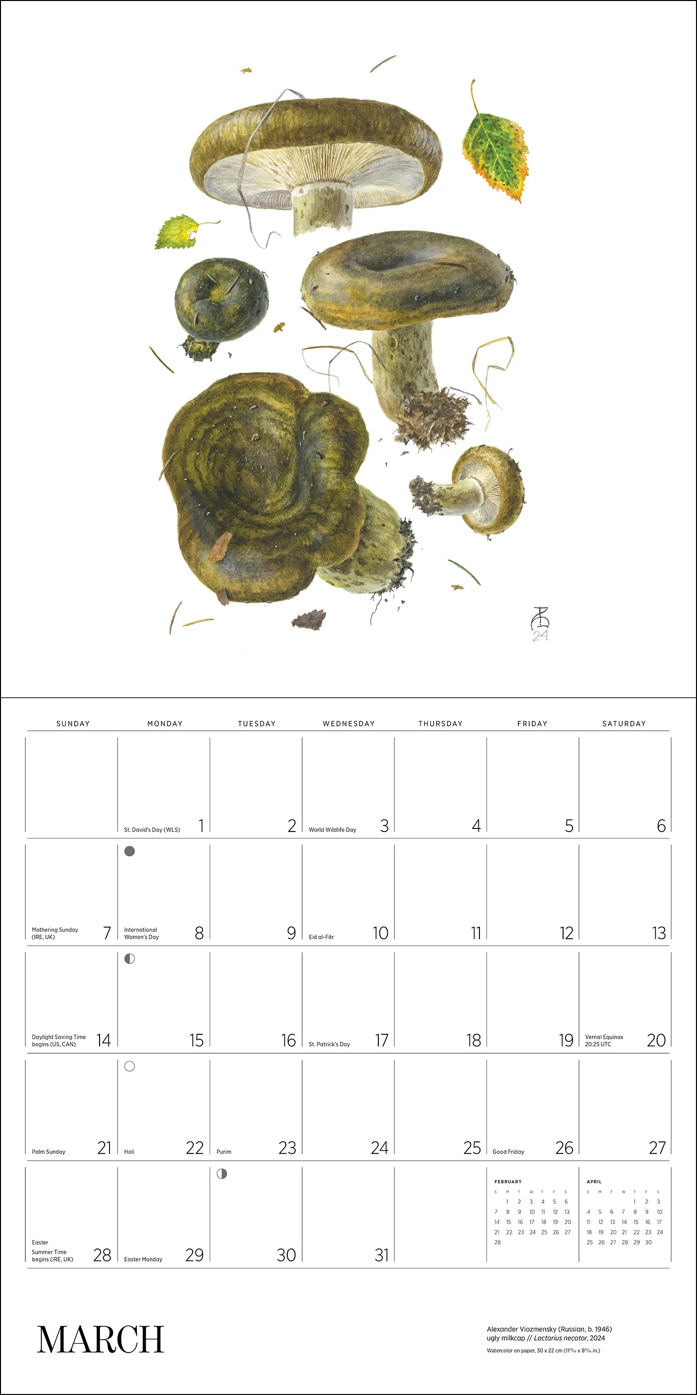 POM Mushrooms: Alexander Viazmensky 2027 Wall Calendar