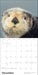 POM Sea Otters: Photographs by Tom and Pat Leeson 2027 Wall Calendar