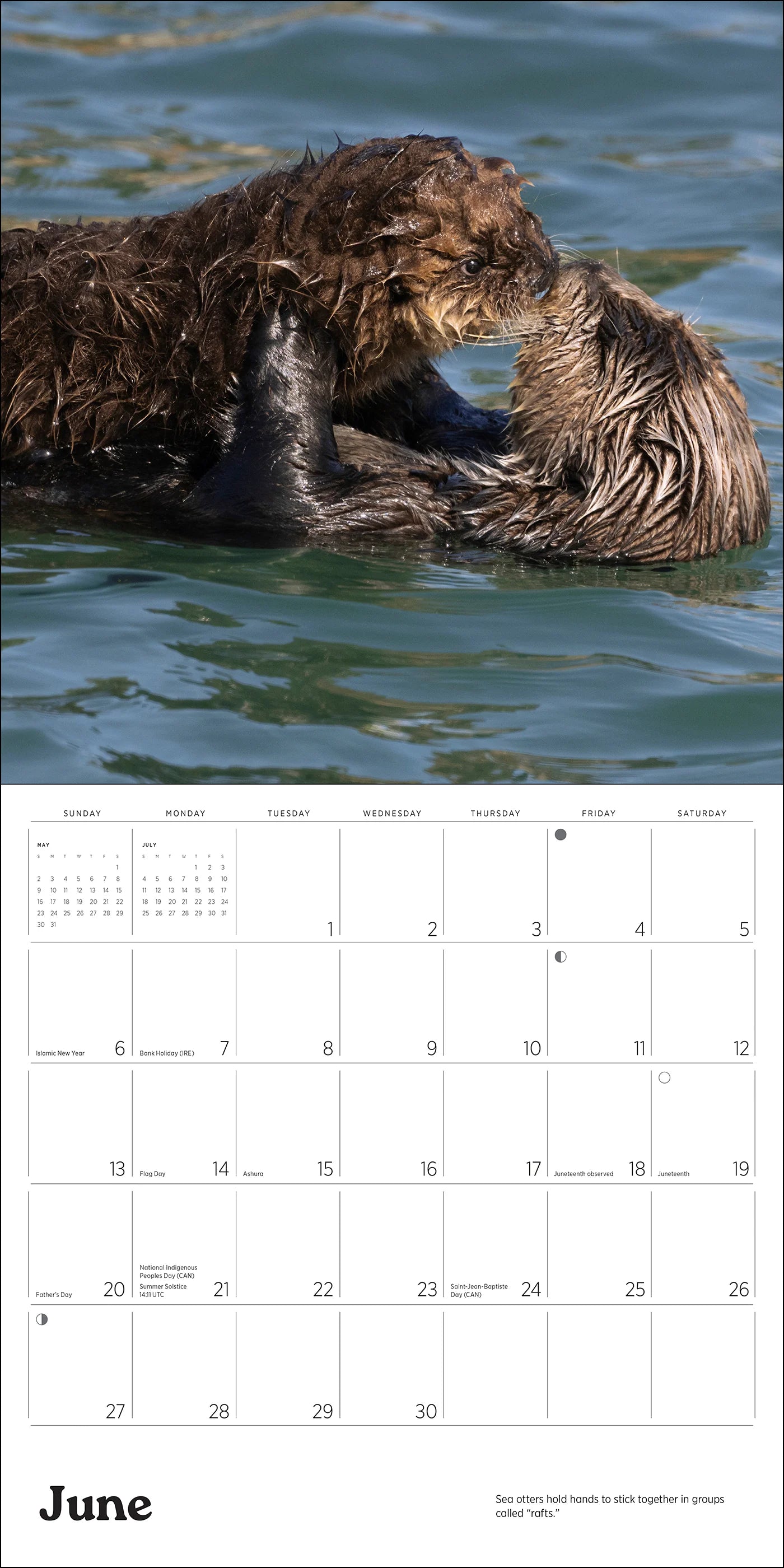 POM Sea Otters: Photographs by Tom and Pat Leeson 2027 Wall Calendar