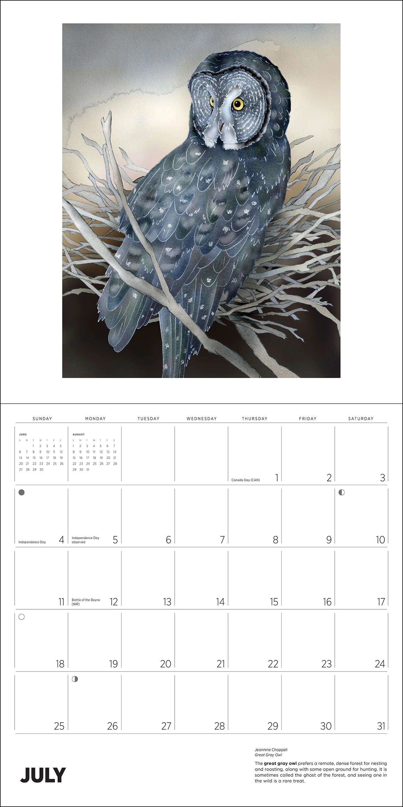 POM Owls: Jeannine Chappell 2027 Wall Calendar