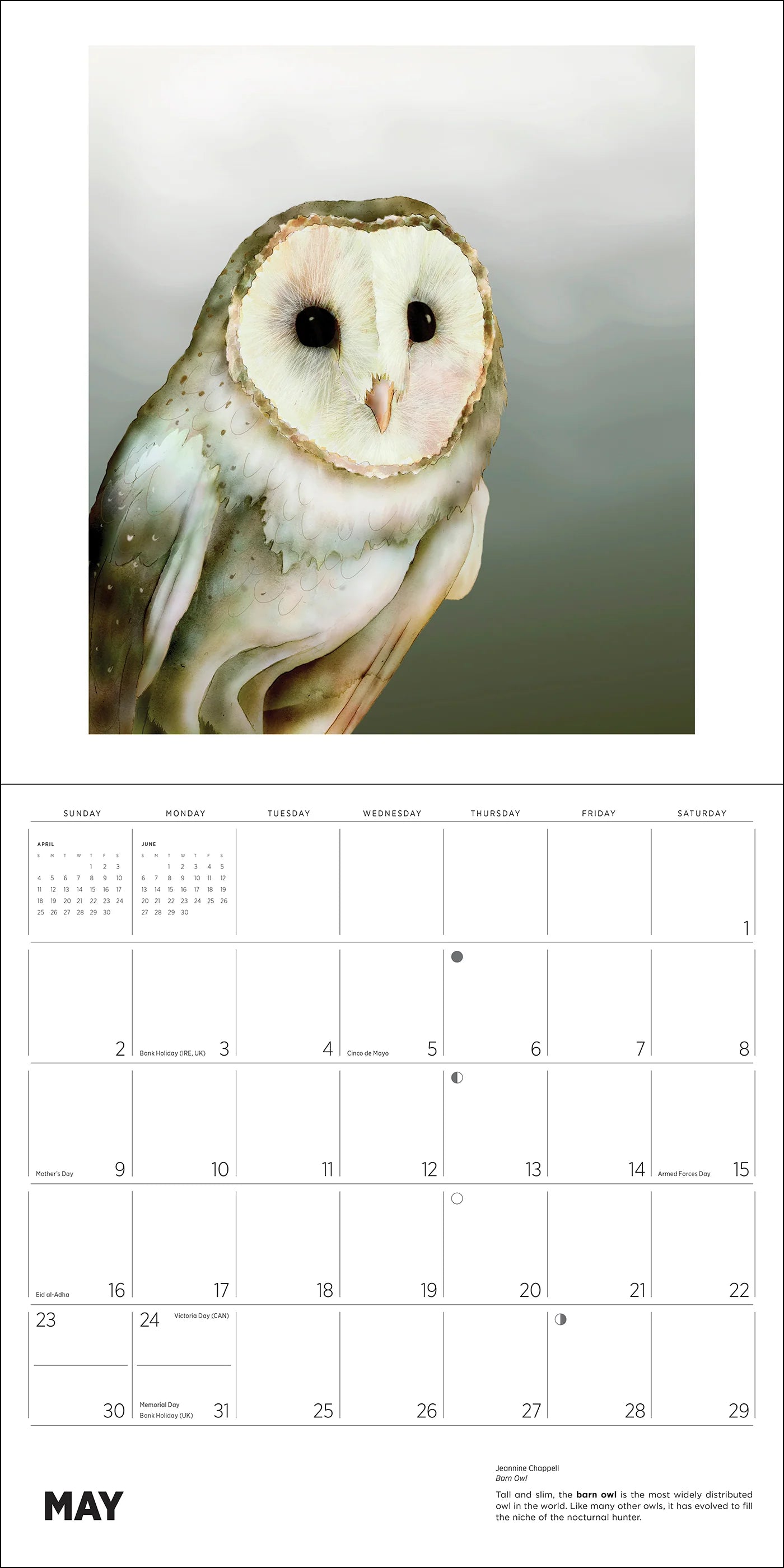 POM Owls: Jeannine Chappell 2027 Wall Calendar