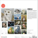 POM Owls: Jeannine Chappell 2027 Wall Calendar
